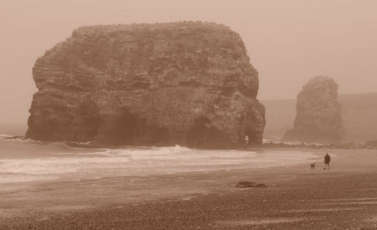 Foggy Marsden Rock