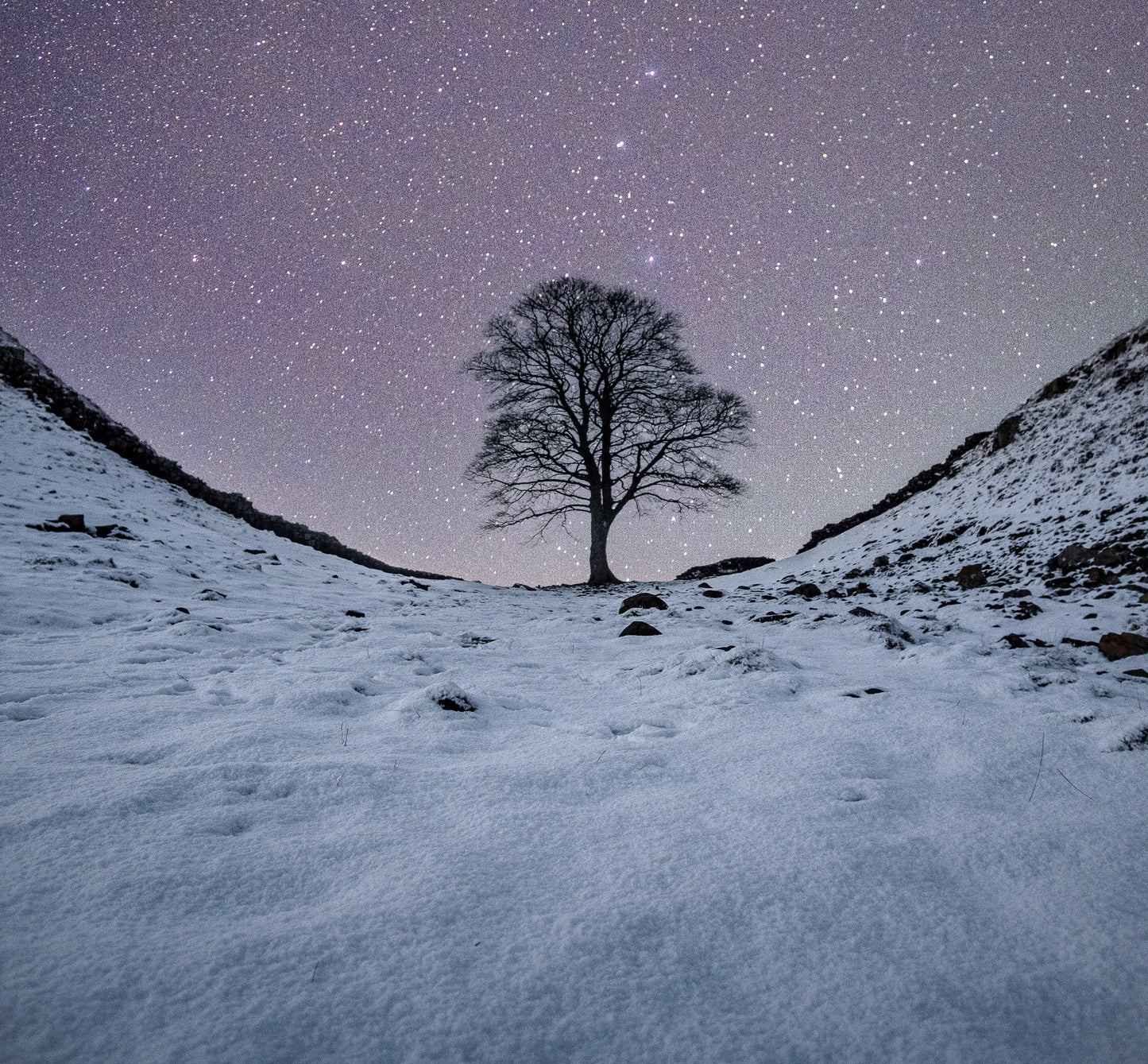 Sycamore Gap under fresh snow