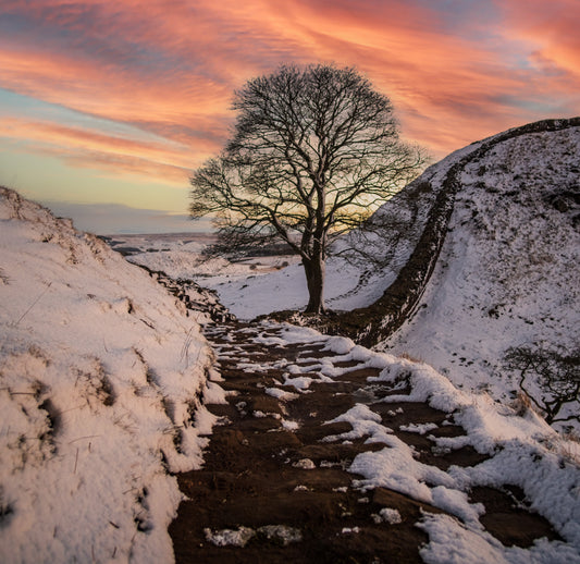 Sunset snowfall