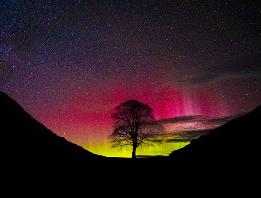 Sycamore Gap Aurora