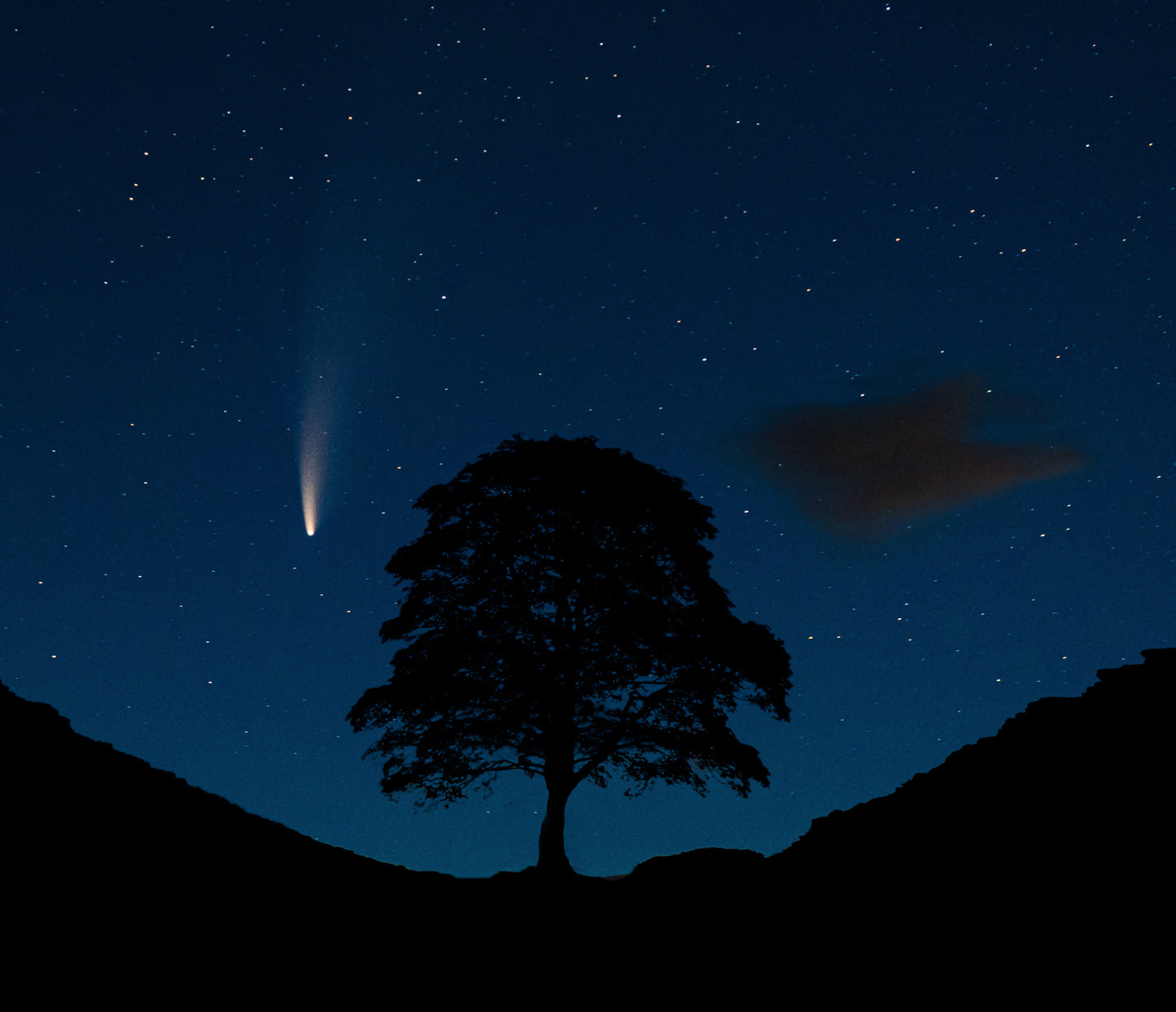 Comet Neowise at Sycamore gap