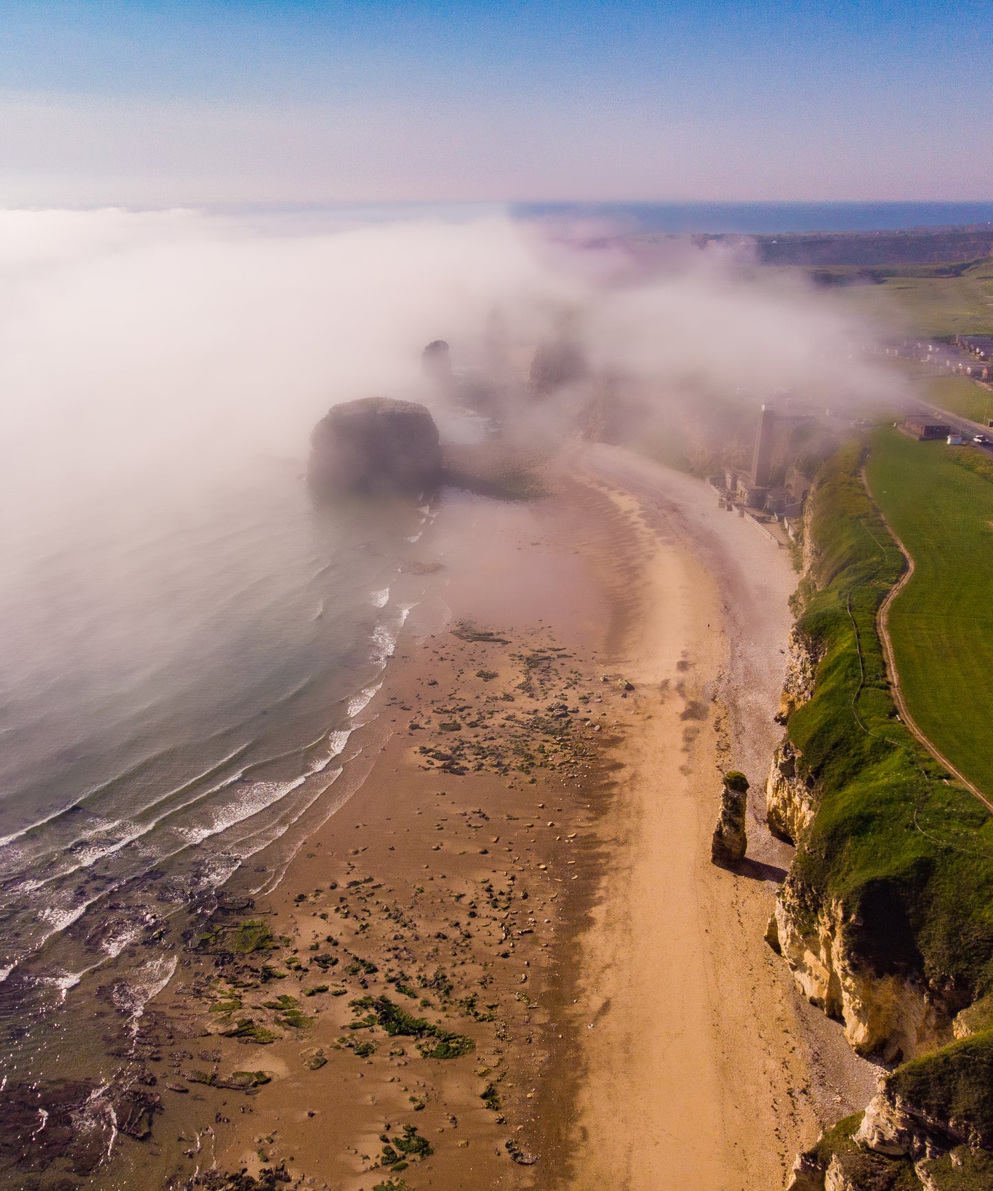 Foggy Marsden