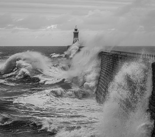 Tynemouth Waves